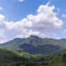 Saripah User