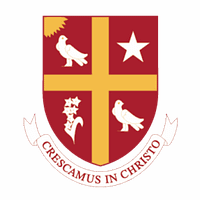 University of St. Thomas logo