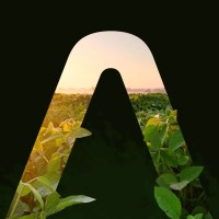 Arys Tecnologia logo