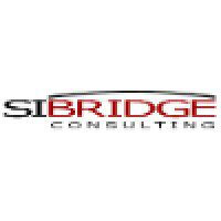 SIBIRDGE Ltd logo