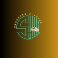 Shahnoorblogger.com logo