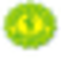 Colegio de San Jose logo
