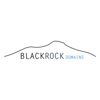 Black Rock Domains logo