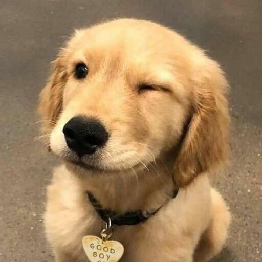 Lissindri User