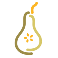 Perfect Pair ABA VA LLC logo