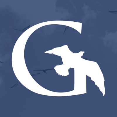 Gullview Technologies logo