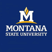 Montana State University, Bozeman logo