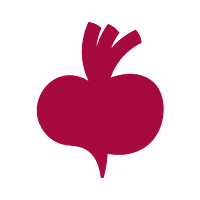 Beetroot Academy logo