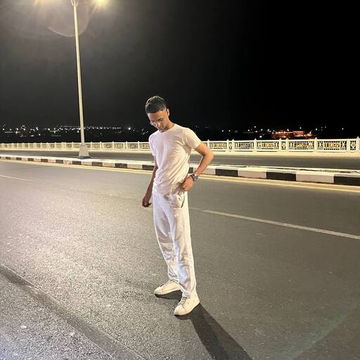 Abdelrahman El shamy
