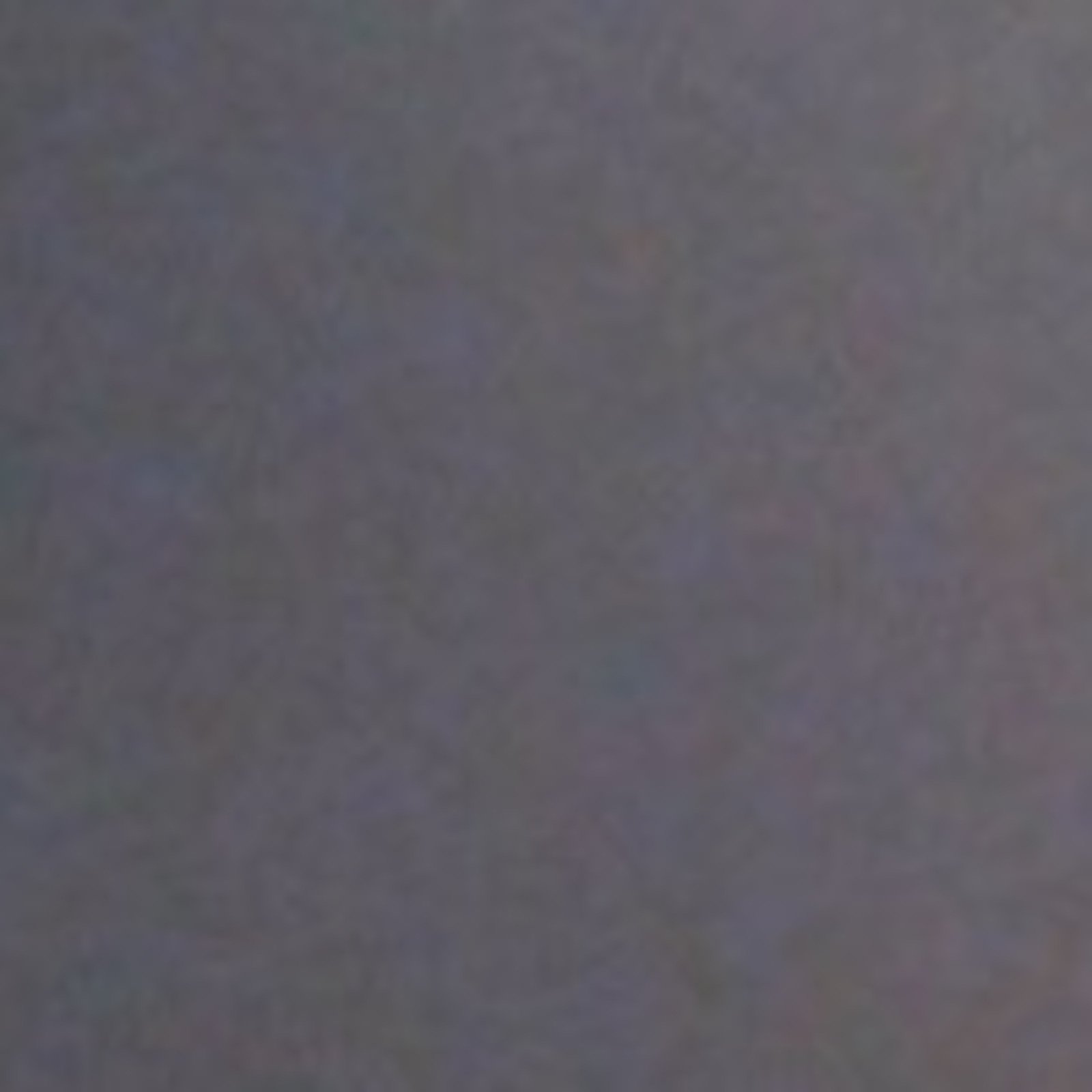 P.P Pharma logo