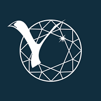 North-Eastern Federal University logo