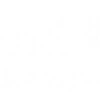 Bharati Vidyapeeth Deemed University College of Engineering, Pune logo