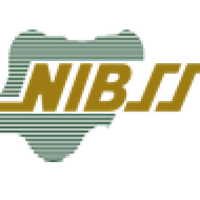 NIBSS logo