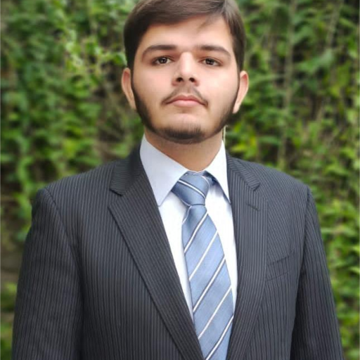 Ameer Hamza