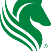 Centro Cuesta Nacional (CCN) logo