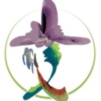 Wensymes logo
