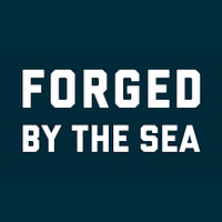 United States Navy logo