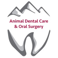 Veterinary Dental Management Services logo