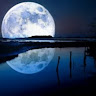 Abd Reflection
