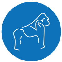 Beringei logo
