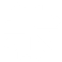 Ravian AI logo