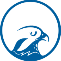 Falcon Holdings Management LLC logo