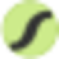 EVS eVision  logo