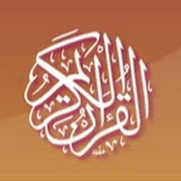 Punjab University (online commissioned work) logo