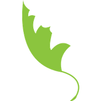 Sussex County Community College logo