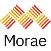 Morae Global logo