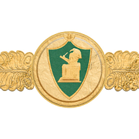 Faculty of Medicine, Cairo University logo