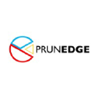 PRUNEDGE (TECHNOLOGY CONSULTING) logo