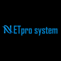 Netpro Systems Inc logo
