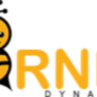 Hornet Dynamics logo
