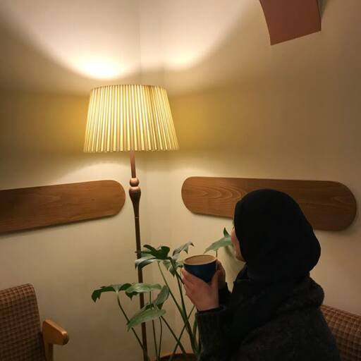 wajeeha aamir