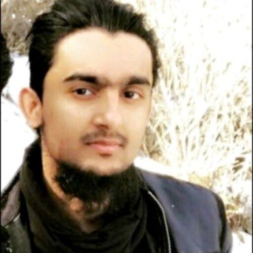 Abdul Moiz Bin Mehmood