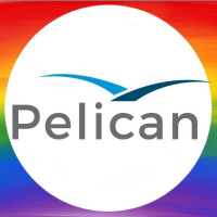 PELICAN AI logo