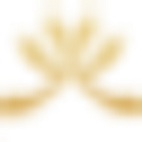 YT Gold logo