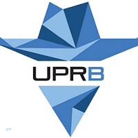 University of Puerto Rico at Bayamón logo