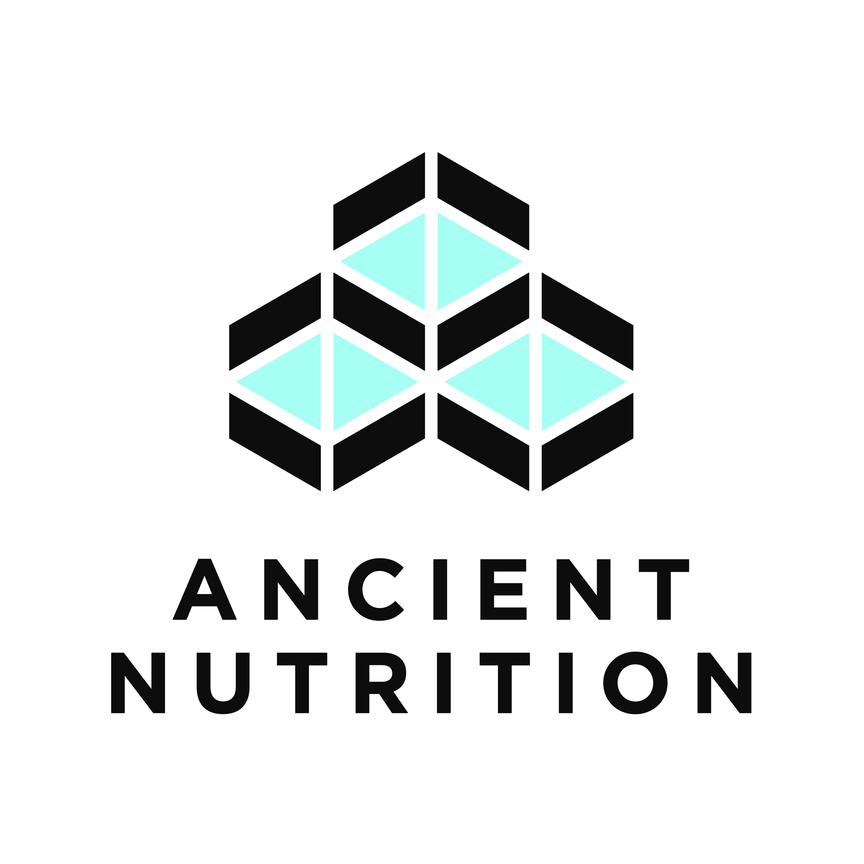 Ancient Nutrition logo