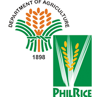 Philippine Rice Research Institute logo