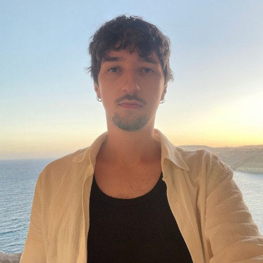 Enes Ljajić