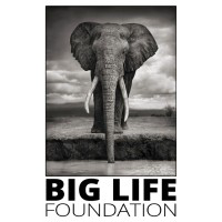 Big Life Foundation logo