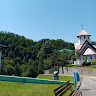 Žarko Kojić