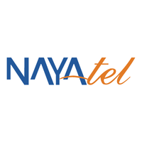 Nayatel logo