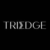 TriEdge Investments logo