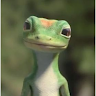 Gekco User