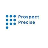 Prospect Precise ITES LLP logo