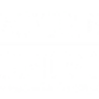 Jaipur National University logo