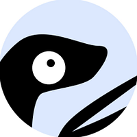 voidpet logo